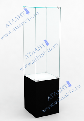 Музейная витрина В.С-2