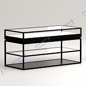 Витрина горизонтальная демонстрационная ВЭ-2